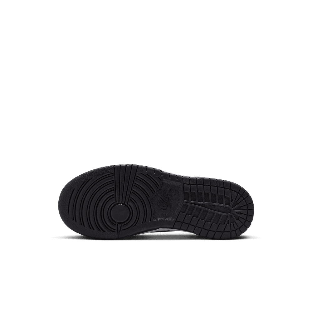 PS Nike Dunk Low